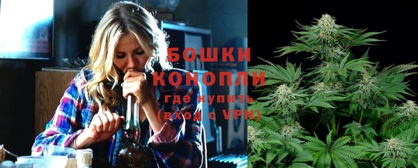 дживик Магас