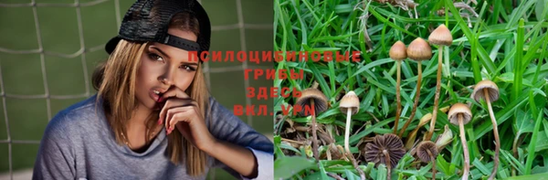 СК Магадан
