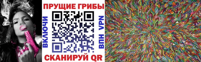 Псилоцибиновые грибы MAGIC MUSHROOMS Калининец